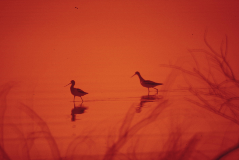 On the days I feel&nbsp;lonely